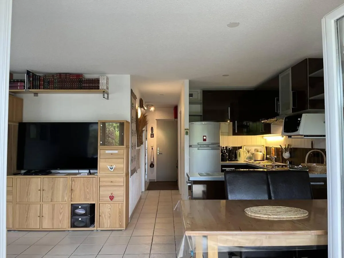 Appartement Cosy Avec Terrasse Et Garage A Deux Pas Des Pistes ! - Fr-1-548-24 Villard-de-Lans 0*,